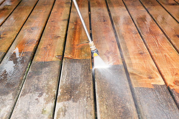 Best Dumpster Area Cleaning  in Indian Trail, NC